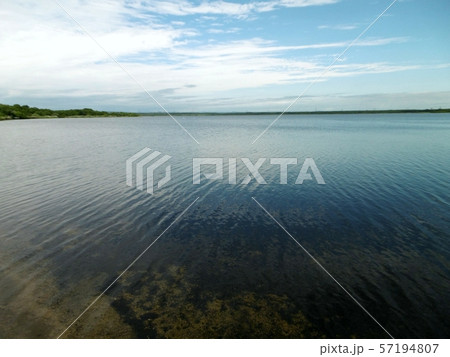 ウトナイ湖 57194807