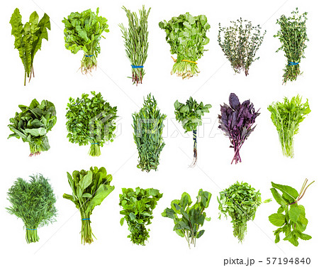various bunches of fresh edible greens isolated 57194840