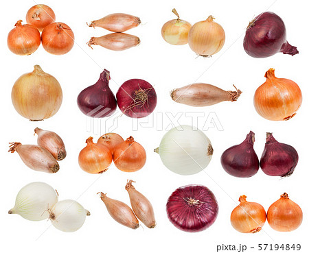 various bulb onions isolated on white 57194849