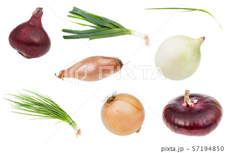 various onion vegetables isolated on white 57194850