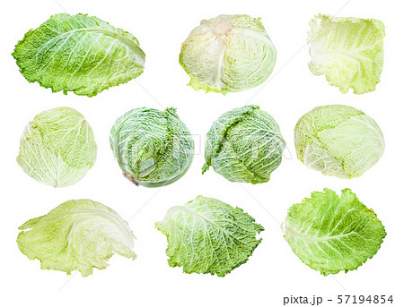 various leaves and heads of savoy cabbages 57194854