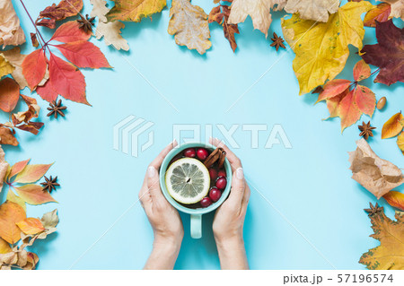 Cozy cup of drink with cranberry in female hand 57196574