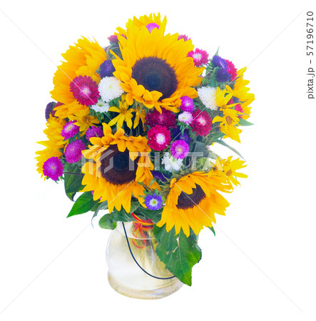 Sunflowers on white 57196710