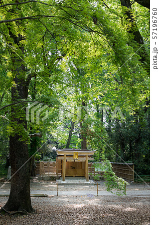 下鴨神社、糺の森の新緑と賀茂斎院歴代斎王神霊社 57196760