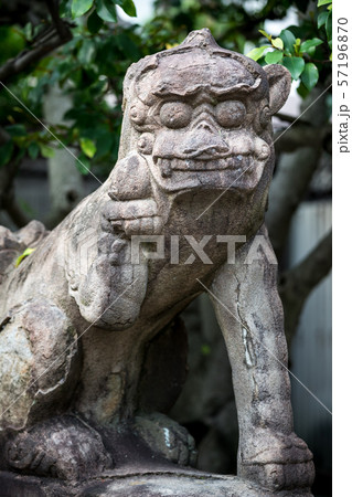 菅大臣神社の狛犬 57196870