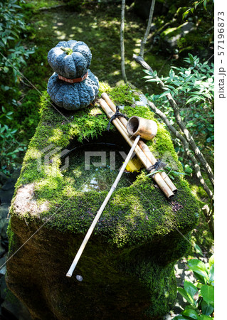 安楽寺、苔むした手水鉢に安楽寺かぼちゃ 安楽寺、苔むした手水鉢に安楽寺かぼちゃ 57196873