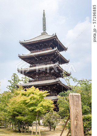 仁和寺・五重塔に初夏の新緑と令和の記念看板 仁和寺・五重塔に初夏の新緑と令和の記念看板 57196885