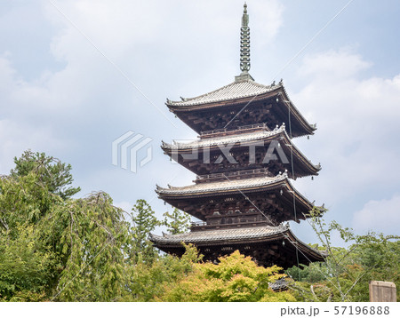 仁和寺・五重塔に初夏の新緑と令和の記念看板 仁和寺・五重塔に初夏の新緑と令和の記念看板 57196888