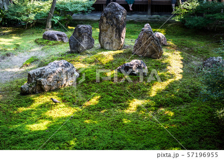 建仁寺・潮音庭、尊石と坐禅石 建仁寺・潮音庭、尊石と坐禅石 57196955