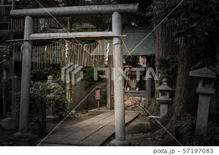 阿刀神社の夕暮れ 57197083