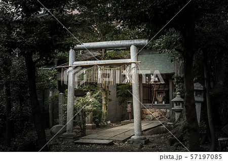 阿刀神社の夕暮れ 57197085