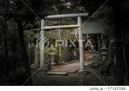 阿刀神社の夕暮れ 57197086