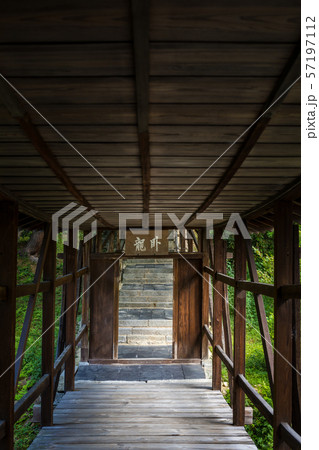 高台寺、臥龍廊の夏 57197112