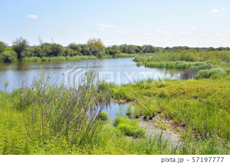 River at sunny day. River at sunny day. 57197777