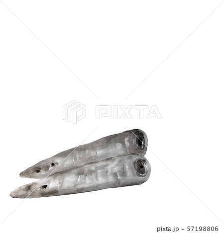 にんじん 墨の手描きイラスト のイラスト素材 57198806 Pixta