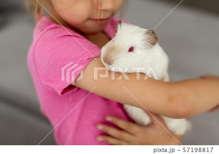 Closeup view of cute white rat in hands vibrant little girl. Closeup view of cute white rat in hands vibrant little girl. 57198817