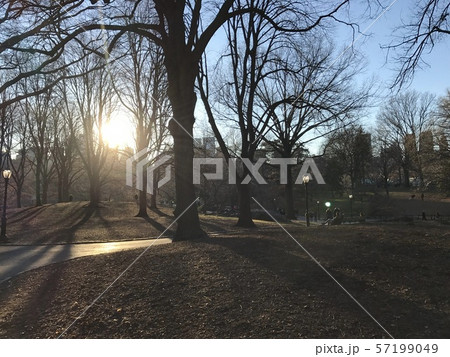 公園 公園 57199049