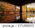 紅葉 57199055