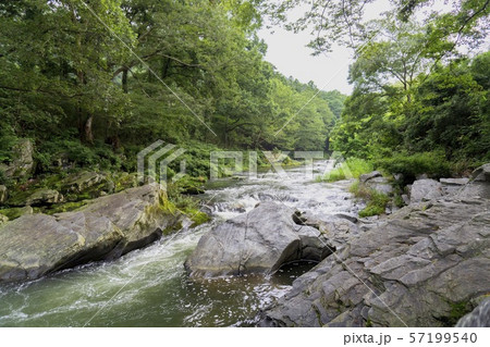 嵐山渓谷の清流と岩畳【遠山甌穴】埼玉県嵐山町 57199540