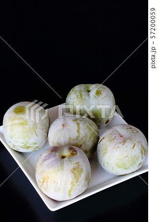 ソルダム 57200059