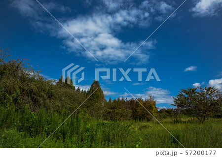 秋の味覚と彼岸花 57200177