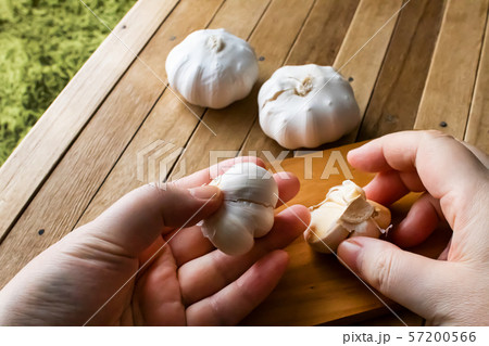 ニンニクを剥く 57200566