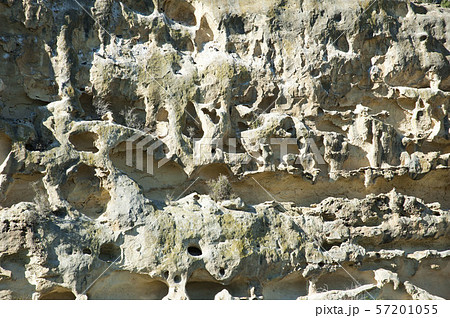 Takirao Maori Rock Drawings,New Zealand 57201055