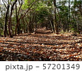 落ち葉の林道 57201349