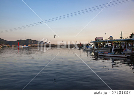 自然 風景 朝 57201837