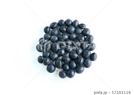 黒豆 57203119