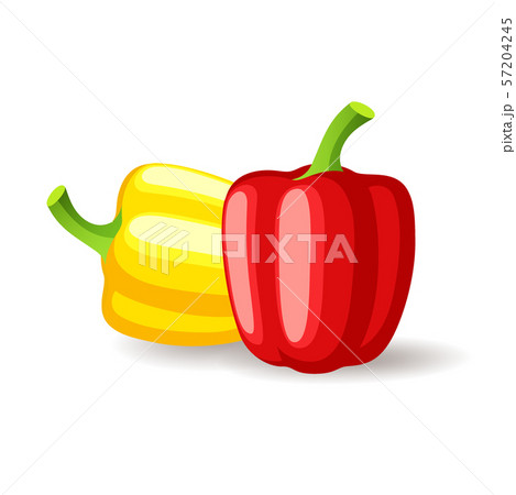 Bright red and yellow bell peppers icon isolated, organic healthy food, fresh vegetables, vector 57204245