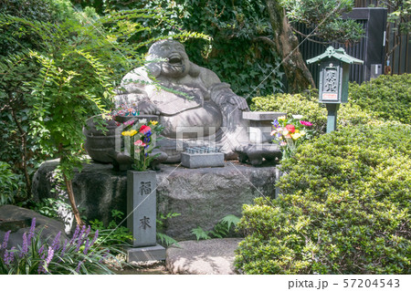 東京都　下谷七福神　布袋尊（ほていそん）　三ノ輪の寿永寺（じゅえいじ） 57204543