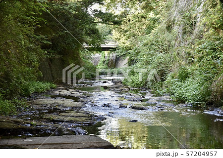 鎌倉・東勝寺橋下の滑川（上流） 57204957