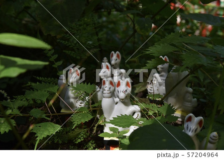 鎌倉・佐助稲荷神社 鎌倉・佐助稲荷神社 57204964