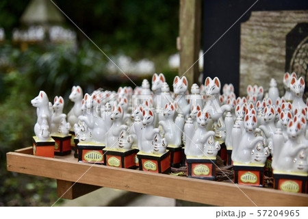 鎌倉・佐助稲荷神社 57204965