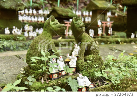 鎌倉・佐助稲荷神社 57204972