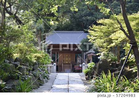 鎌倉・葛原岡神社 本殿 鎌倉・葛原岡神社 本殿 57204983