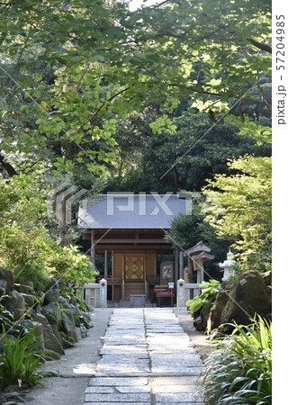 鎌倉・葛原岡神社 本殿 鎌倉・葛原岡神社 本殿 57204985