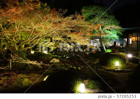 ライトアップされた庭園 ライトアップされた庭園 57205253