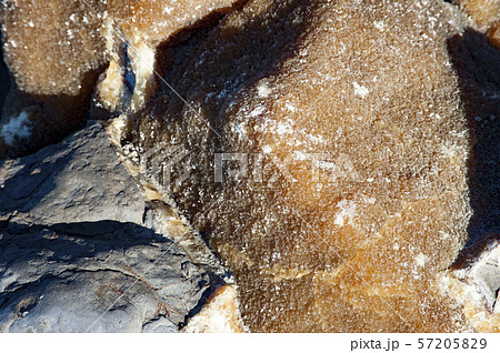 Moeraki Boulders Beach,New Zealand Moeraki Boulders Beach,New Zealand 57205829