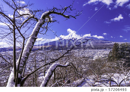 (山梨県)雪化粧した新倉山浅間公園から眺める、富士山 (山梨県)雪化粧した新倉山浅間公園から眺める、富士山 57206493