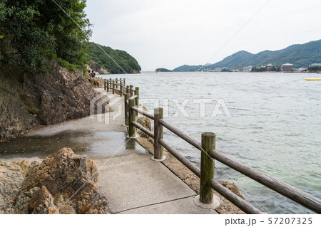 仙酔島の遊歩道 57207325