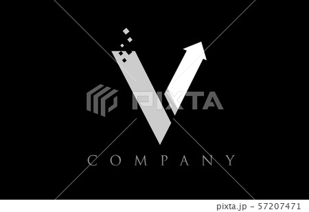 V white black alphabet letter logo company icon 57207471