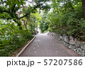a pathway in summer 57207586