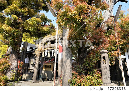 大阪 都島 櫻宮神社本宮 大阪 都島 櫻宮神社本宮 57208358