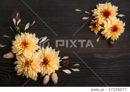 flat lay with yellow red chrysanthemum 57209077