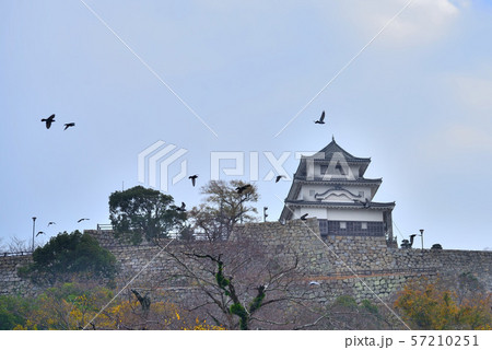 丸亀城 57210251