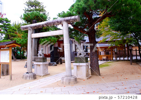 【長野】秋の松本　四柱神社の松本市招魂殿（ななめ） 57210428