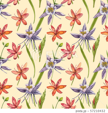 Kafir Lilies flowers. Seamless patterns. Collection of hand drawn flowers and plants. Botany. Set Kafir Lilies flowers. Seamless patterns. Collection of hand drawn flowers and plants. Botany. Set 57210432