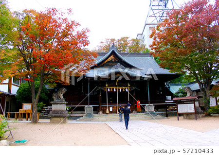 【長野】秋の松本 四柱神社拝殿と参拝者 【長野】秋の松本 四柱神社拝殿と参拝者 57210433
